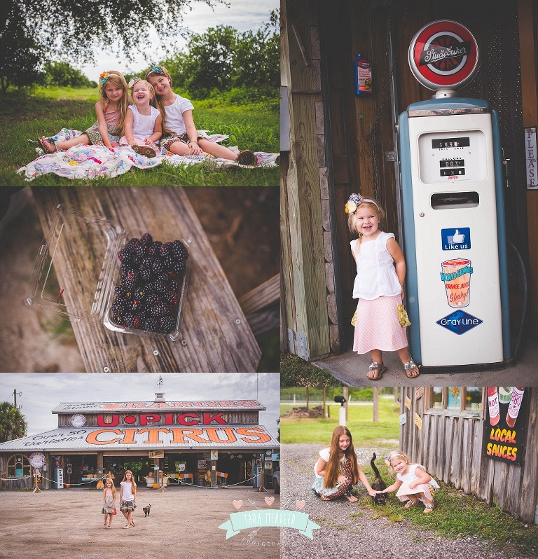 Tara Merkler Photography Orlando, Florida Children's Photography Merkler Girls Blackberry Patch June 2014_0003.jpg