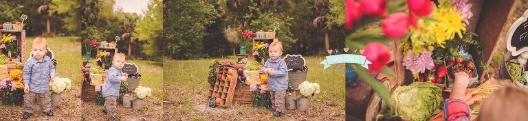 Farmer's Market Mini Session in Central Florida Children's Photographer Tara Merkler Photography Orlando Children's Photography_0004.jpg