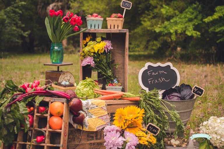 Farmer's Market Mini Session in Central Florida Children's Photographer Tara Merkler Photography Orlando Children's Photography_0005.jpg