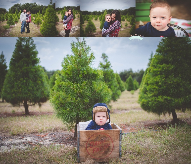 Tree Farm Christmas Holiday Mini Sessions 2014 Tara Merkler Photography Lake Mary, Florida Family Photography Central Florida_0017.jpg