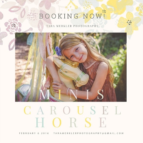 2016 Carousel Horse Mini Session Announced by Tara Merkler Photography Lake Mary, Orlando Newborn Photography Central Florida_0001.jpg