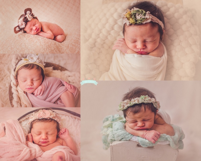 Sibley Newborn Session 2016 Tara Merkler Photography-28_WEB.jpg