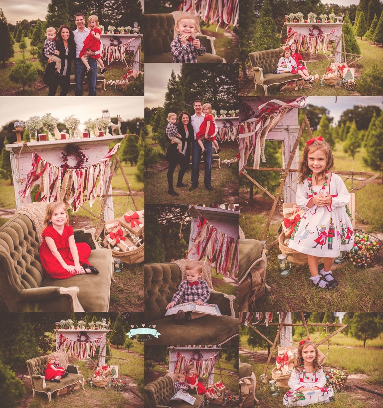 DiNisio Family Tree Farm Family Session 2015 Tara Merkler Photography-76_WEB.jpg