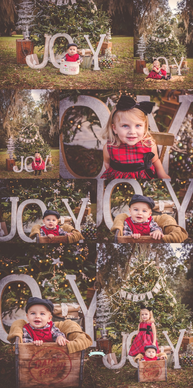 Knightly Tree Session 2015 Tara Merkler Photography-80_WEB.jpg