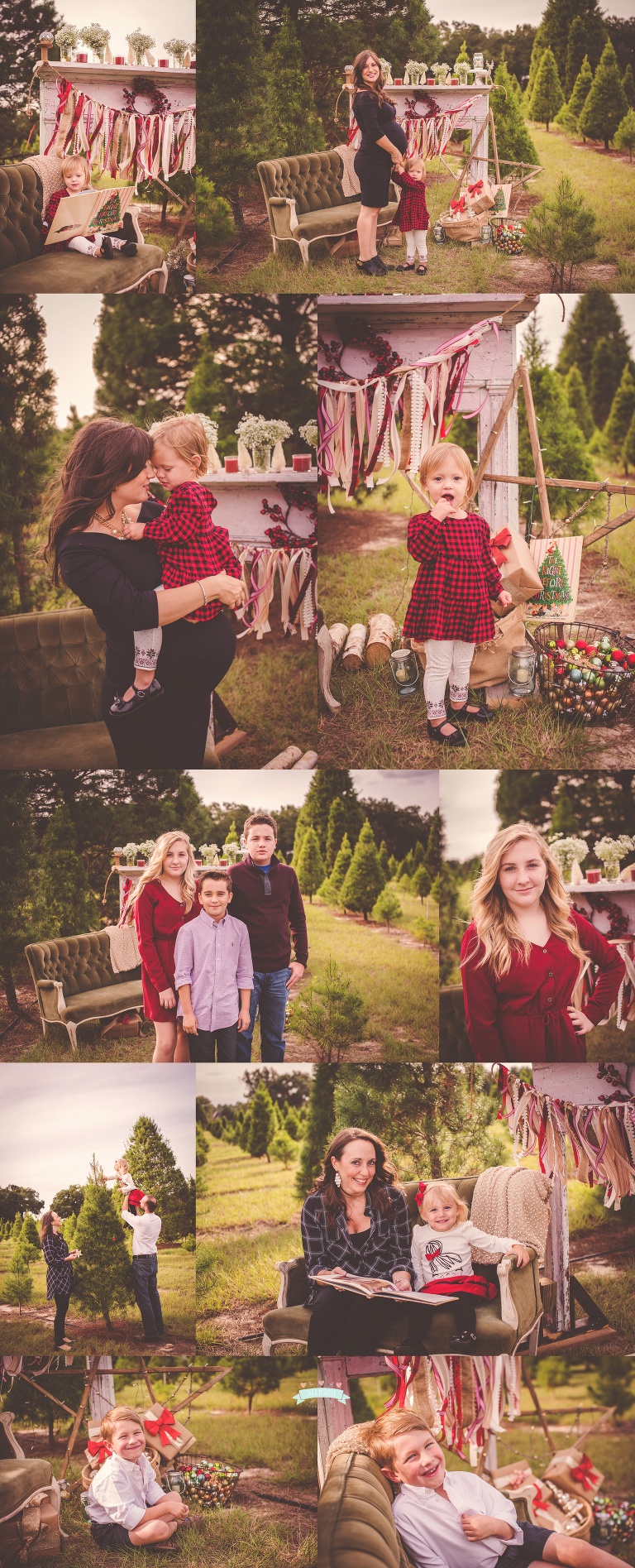 McCook Tree Farm Session 2015 Tara Merkler Photography-71_WEB.jpg