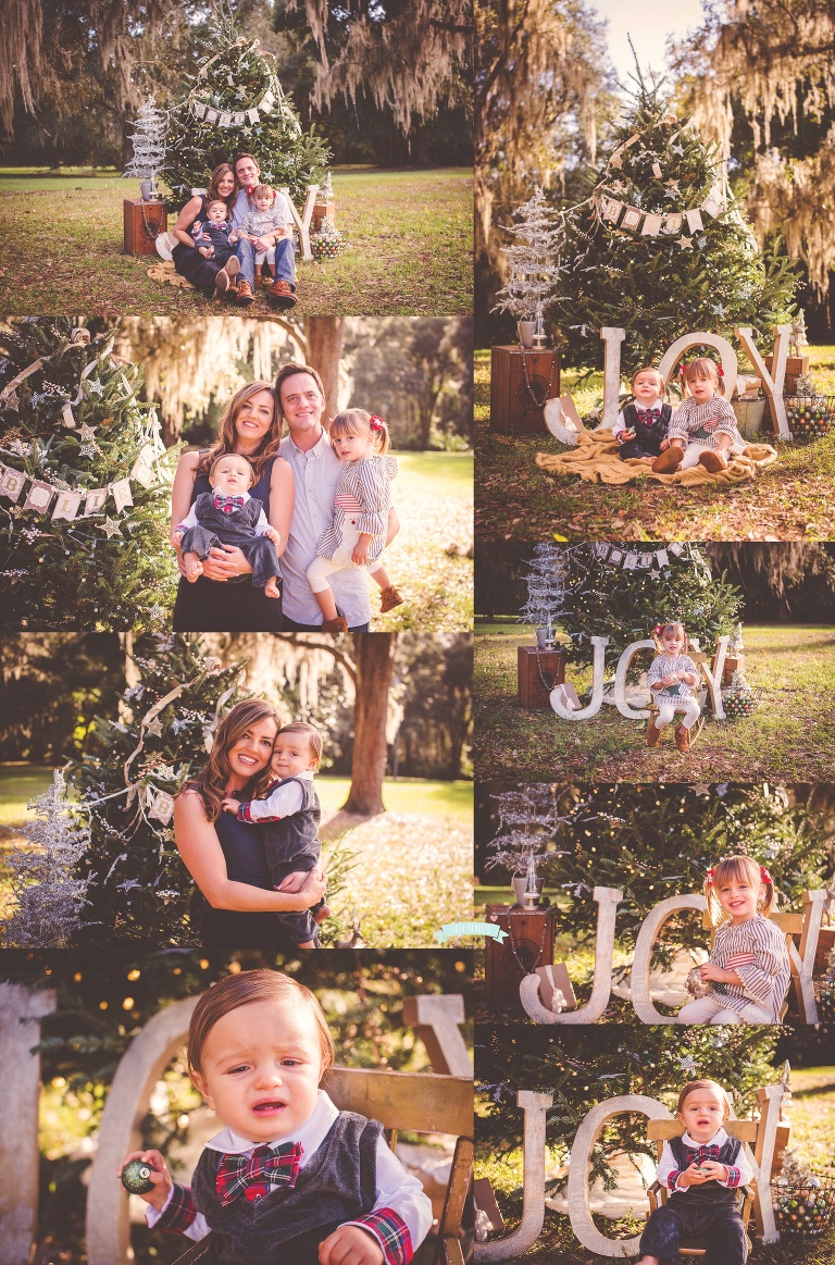 O'Neil Tree Session 2015 Tara Merkler Photography-103_WEB.jpg