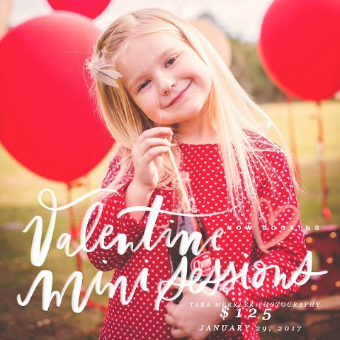 2017 valentine mini marketing_WEB.jpg