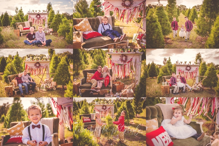 Ayala Tree Farm Session 2016 Tara Merkler Photography-41_WEB.jpg