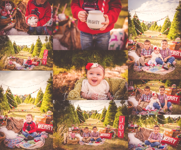 Beyer Marshmallow Session 2016 Tara Merkler Photography-24_WEB.jpg