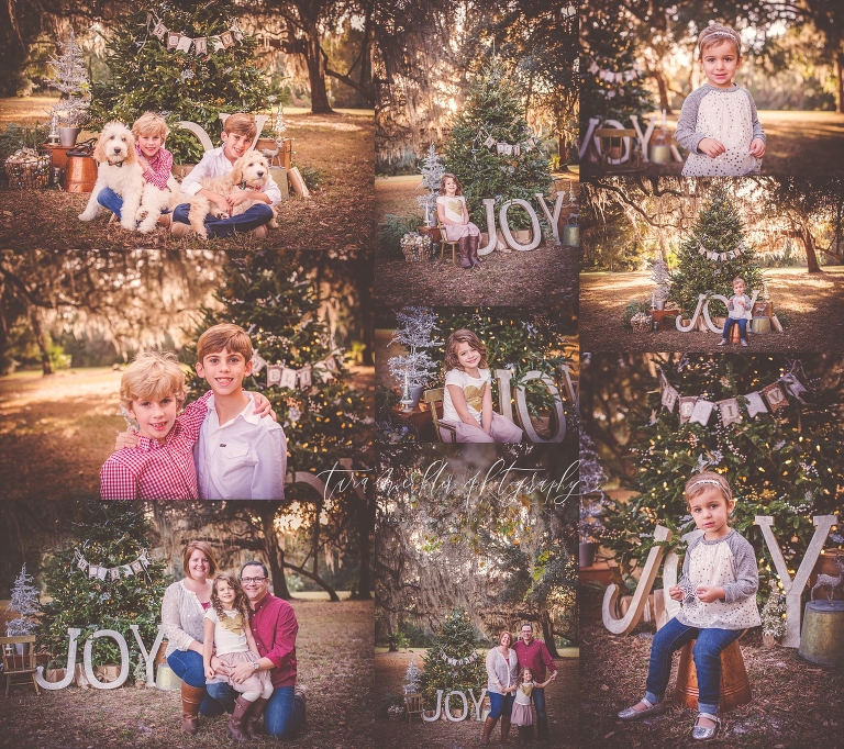 Curtis Tree Session 2016 Tara Merkler Photography-18_WEB.jpg