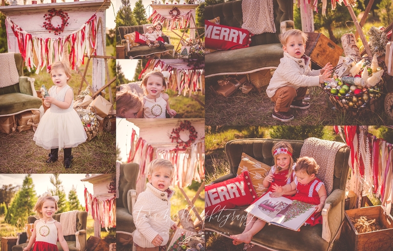 Fiorentino Tree Farm Session 2016 Tara Merkler Photography-39_WEB.jpg