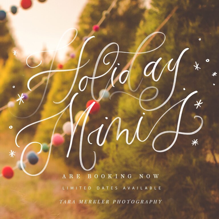 HOLIDAY MINI AD 2017_WEB.jpg