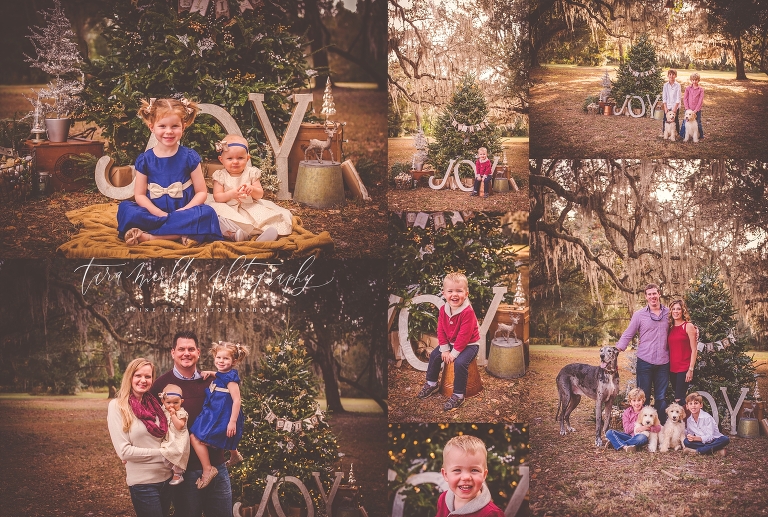 Miller Tree Session 2016 Tara Merkler Photography-26_WEB.jpg
