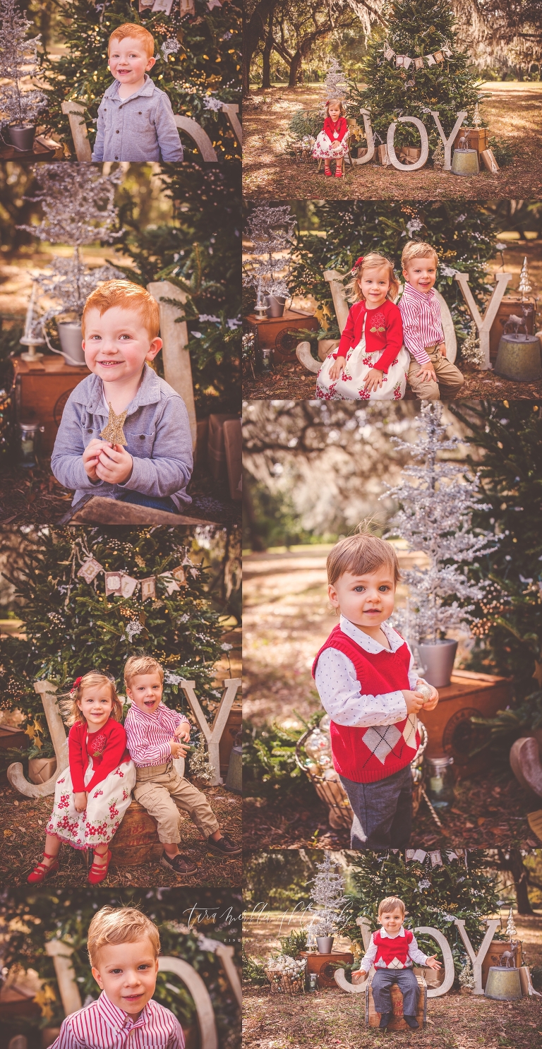 Summers Family Tree Session 2016 Tara Merkler Photography-23_WEB.jpg