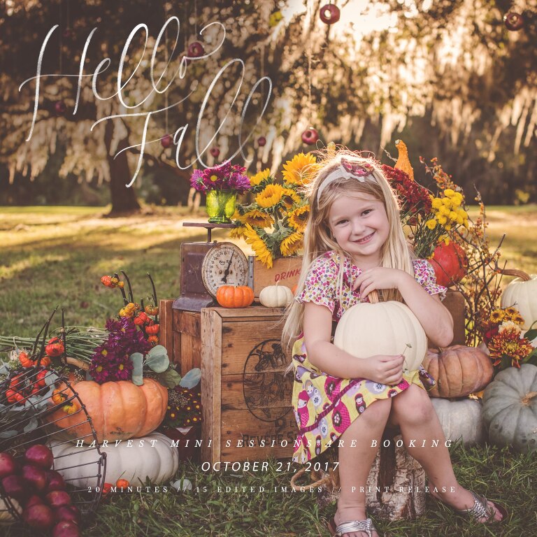 harvest mini 2017_WEB.jpg