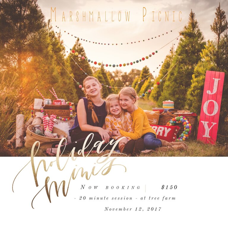 marshmallow picnic 2017_WEB.jpg