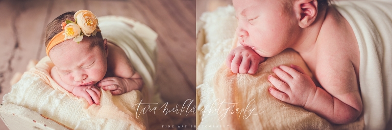 Phelps Newborn Session 2017 Tara Merkler Photography-91_WEB.jpg