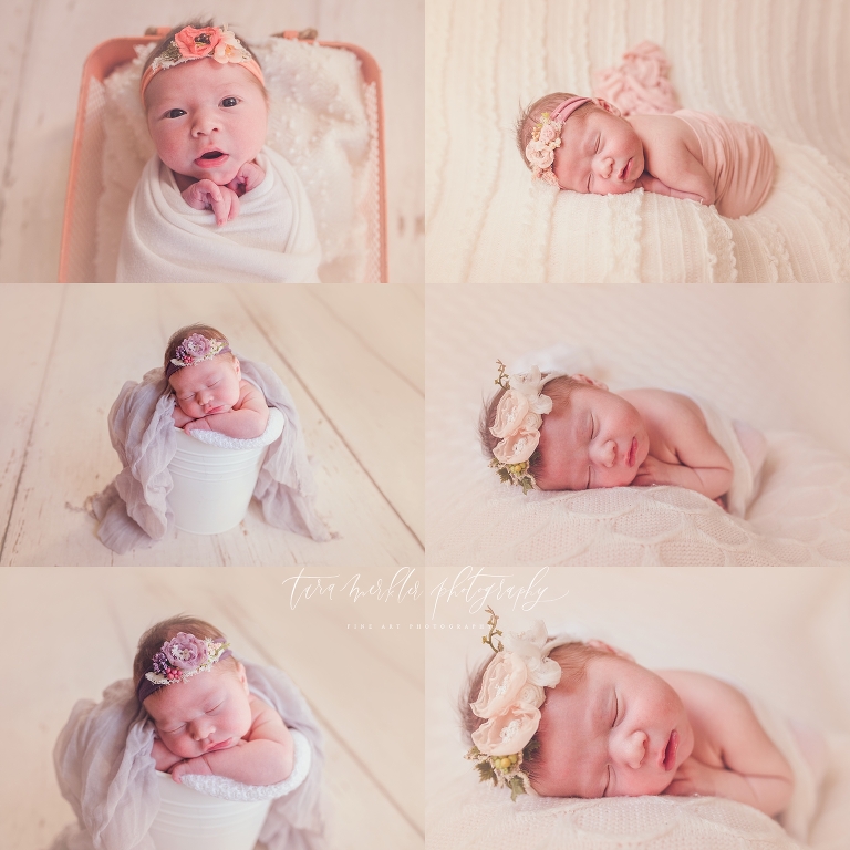 Wolf Newborn Session 2017 Tara Merkler Photography-57_WEB-1.jpg