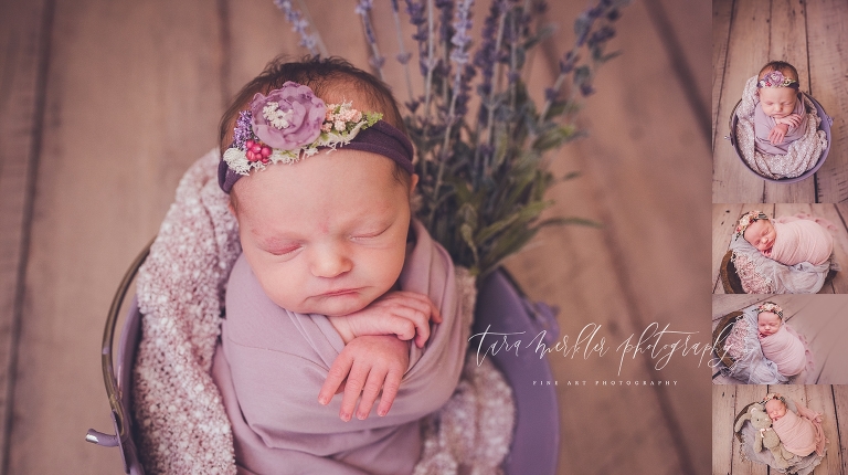 Nora's Newborn Session 2018 Tara Merkler Photography -20_WEB.jpg