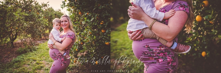 A maternity session in the orange groves by tara merkler photography in Central Floirda, Orlando, Lake Mary, Sanford, Winter Garden, Winter Park, Windemere, Florida