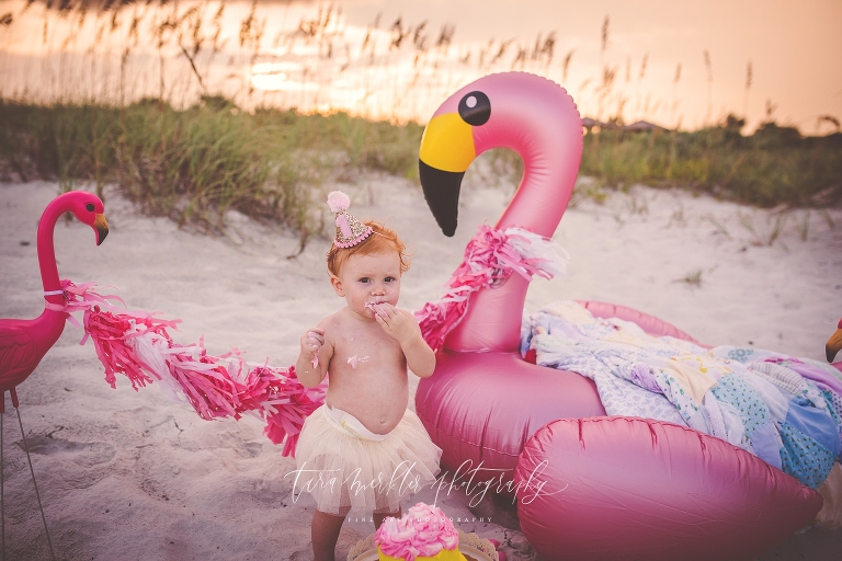 Callie's Cake Smash Session Tara Merkler Photography 2018-24_WEB.jpg