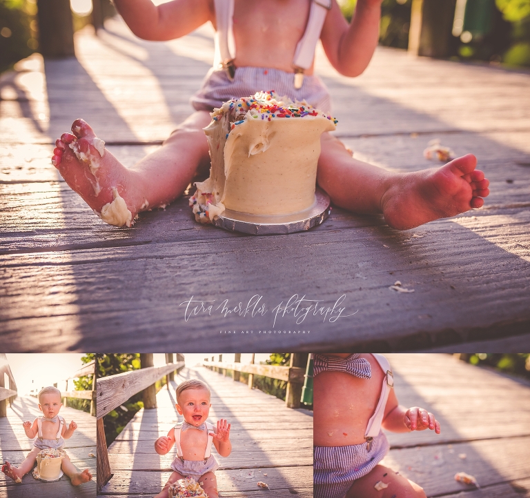 Lindblom Cake Smash Session Tara Merkler Photography 2018-123_WEB.jpg