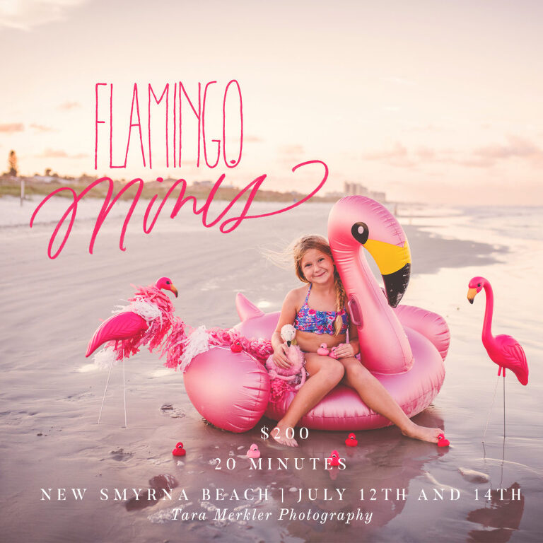 Flamingo Mini Sessions announced for July 12th and 14th by Tara Merkler Photography a Central Florida children's photographer
