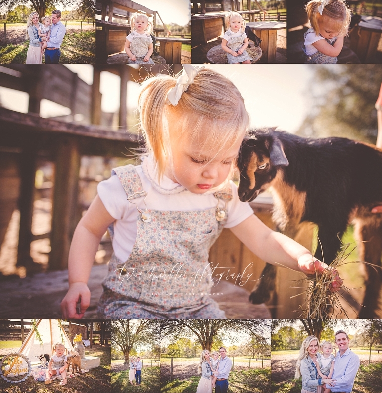 Abbott  Baby Goat Session Tara Merkler Photography 2020-36_WEB-1.jpg
