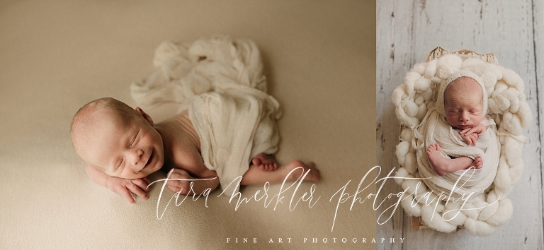 Arrow's Newborn Session Tara Merkler Photography 2019-1_WEB.jpg