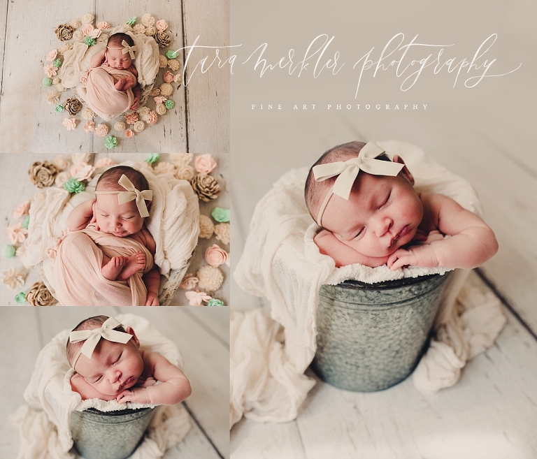 Cambrie's Newborn Session Tara Merkler Photography 2019-50_WEB.jpg