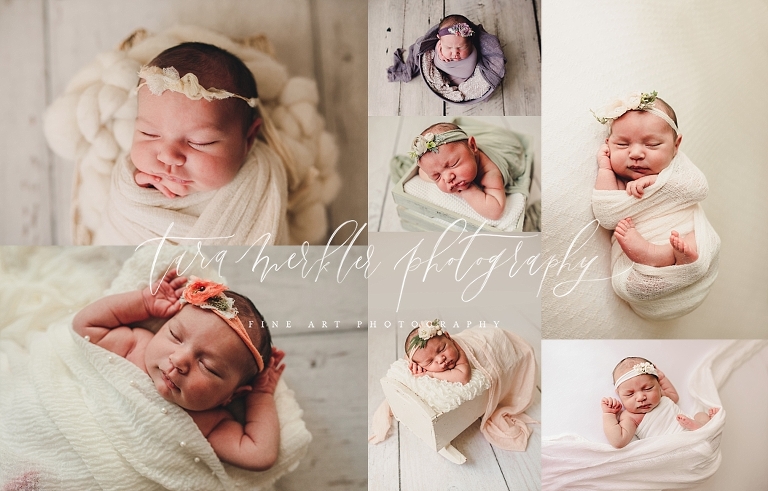 Cambrie's Newborn Session Tara Merkler Photography 2019-64_WEB.jpg