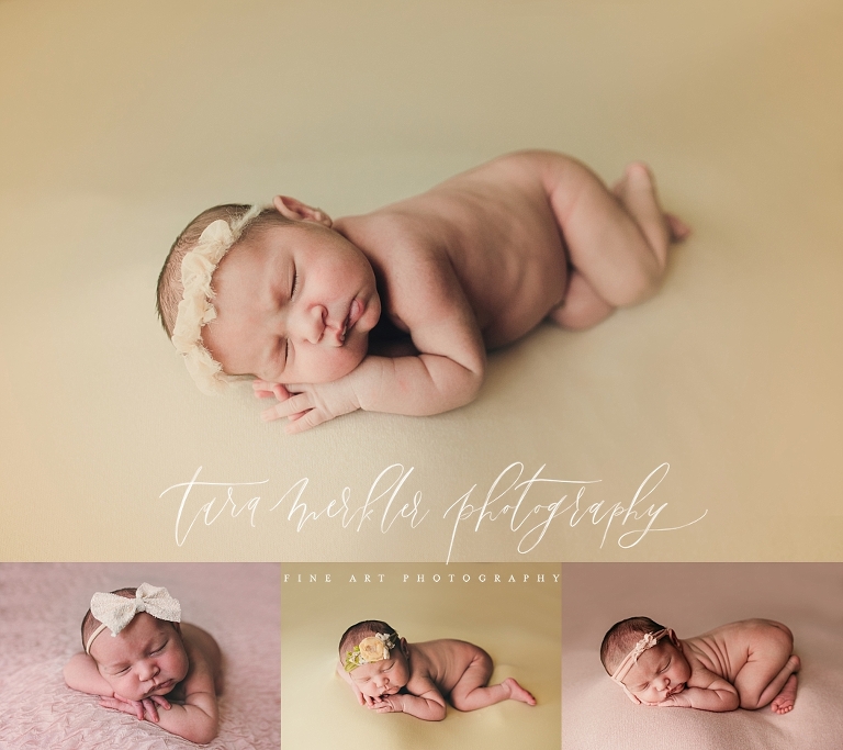 Cambrie's Newborn Session Tara Merkler Photography 2019-94_WEB.jpg
