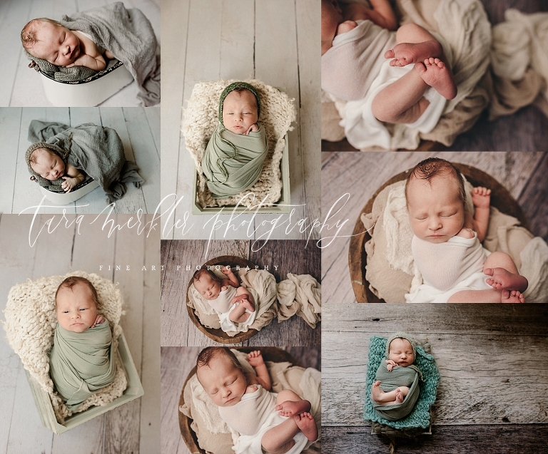 Gillstead Newborn Session 2019 Tara Merkler Photography 2019-63_WEB-1.jpg