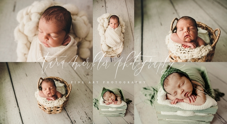 Hamilton Newborn Session Tara Merkler Photography 2019-50_WEB.jpg