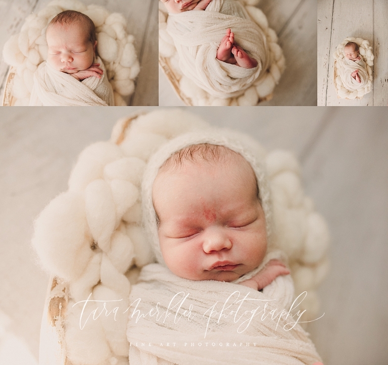 Henry's Newborn Session 2019 Tara Merkler Photography 2019-38_WEB.jpg