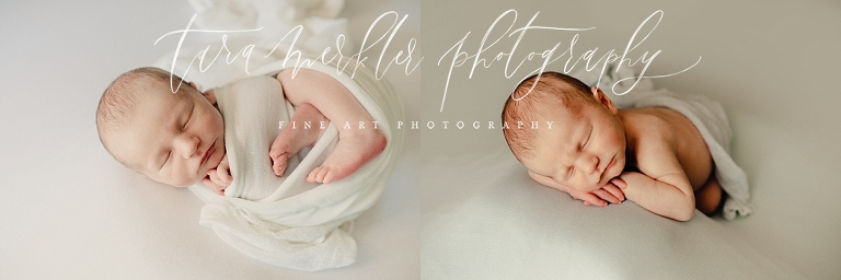Jack's Newborn Session Tara Merkler Photography 2019-167_WEB.jpg