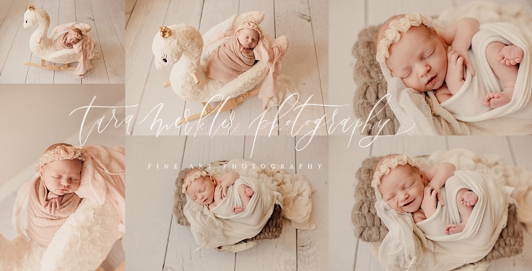 Parker Newborn Session Tara Merkler Photography 2019-18_WEB.jpg