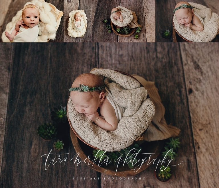 Parker Newborn Session Tara Merkler Photography 2019-37_WEB.jpg