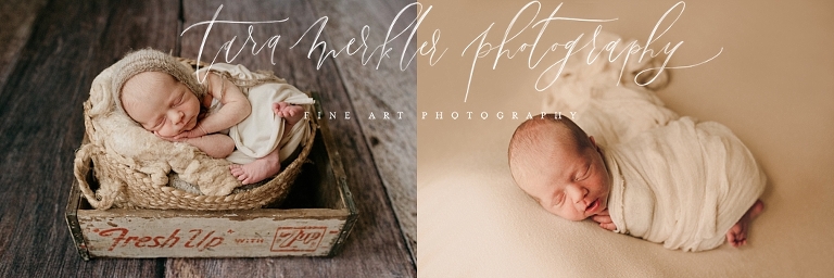 Preston's Newborn Session Tara Merkler Photography 2019-1_WEB.jpg