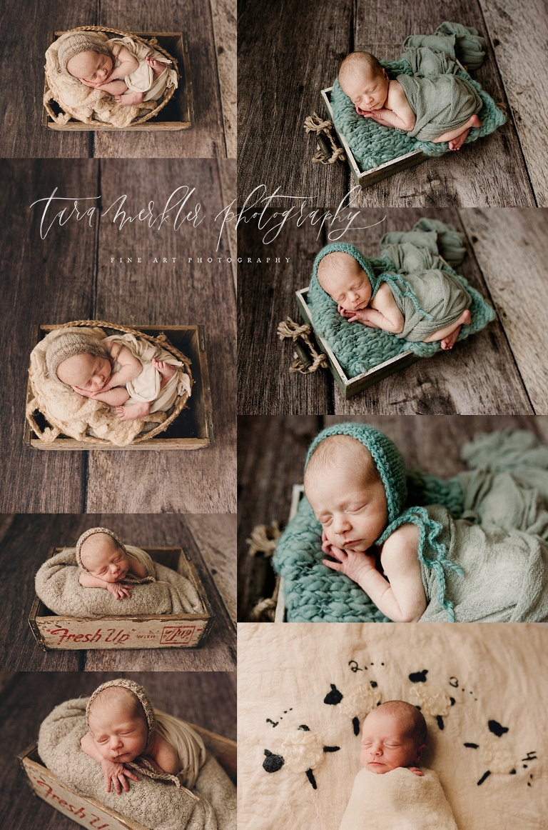 Preston's Newborn Session Tara Merkler Photography 2019-50_WEB.jpg
