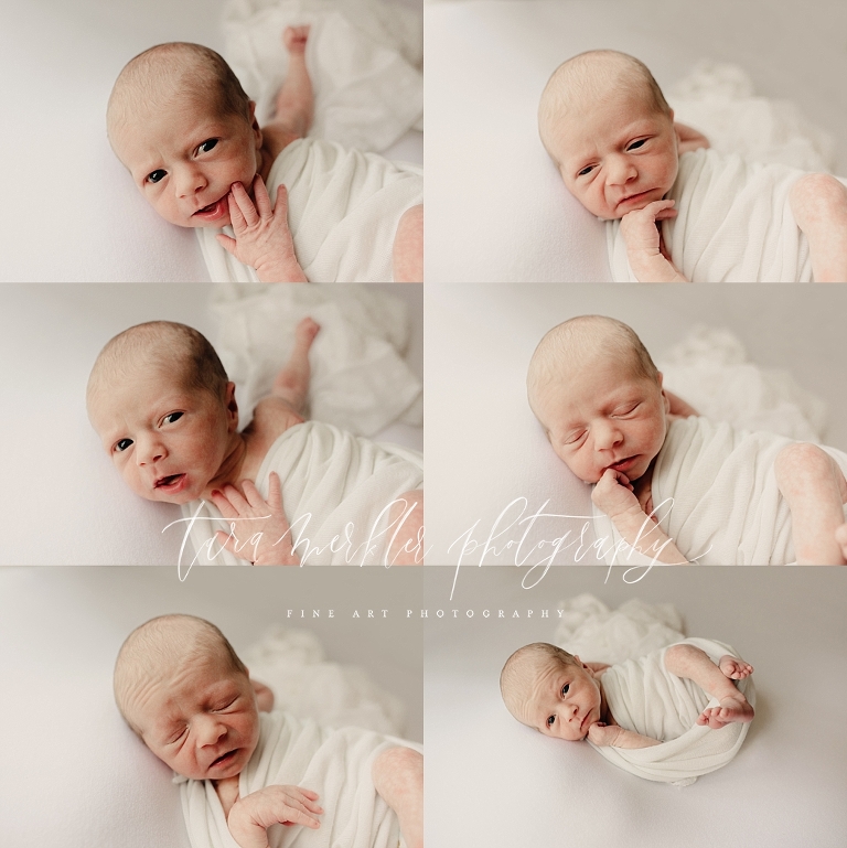 Preston's Newborn Session Tara Merkler Photography 2019-69_WEB.jpg