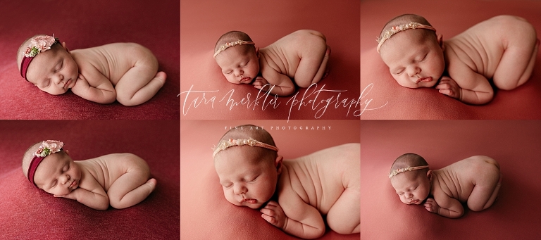 Klara's Newborn Session Tara Merkler Photography 2020-71_WEB-1.jpg