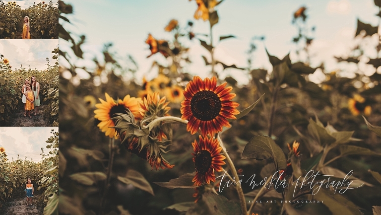 Merkler Sunflowers Session Tara Merkler Photography 2019-6_WEB.jpg