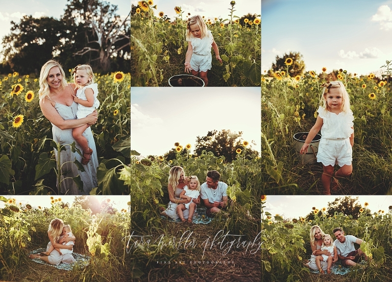 Abbott Sunflower Session Tara Merkler Photography -16_WEB.jpg