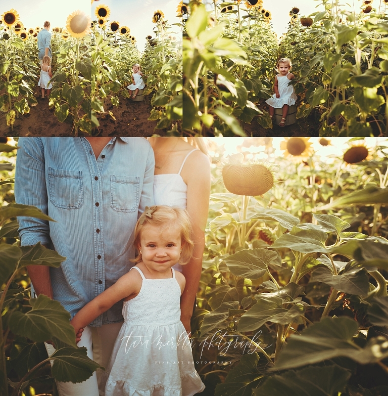 Albert Family Sunflower Session Tara Merkler Photography -49_WEB.jpg