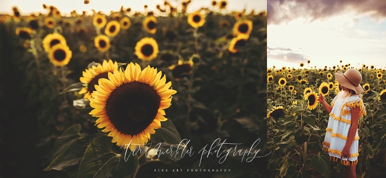 Raimondi Sunflower Session Tara Merkler Photography -30_WEB.jpg