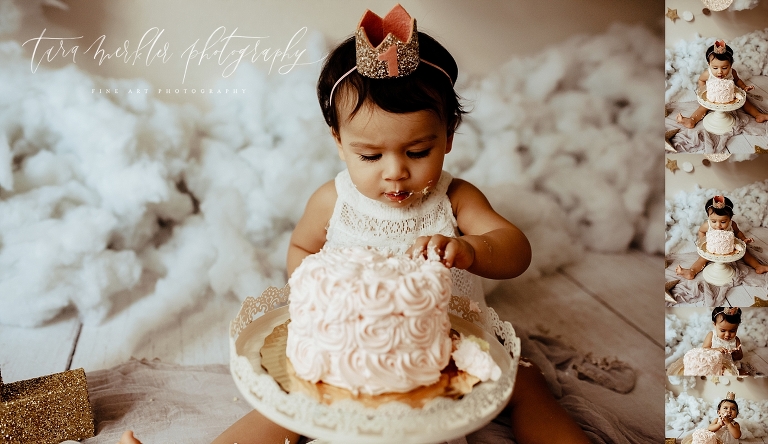 Wong Cake Smash Session Tara Merkler Photography 2020-109_WEB.jpg