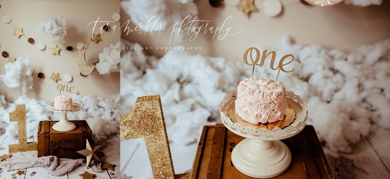 Wong Cake Smash Session Tara Merkler Photography 2020-86_WEB.jpg