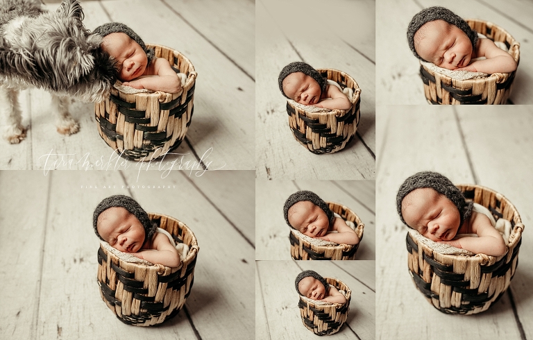 Lynaugh Newborn Session Tara Merkler Photography 2021-84_WEB.jpg